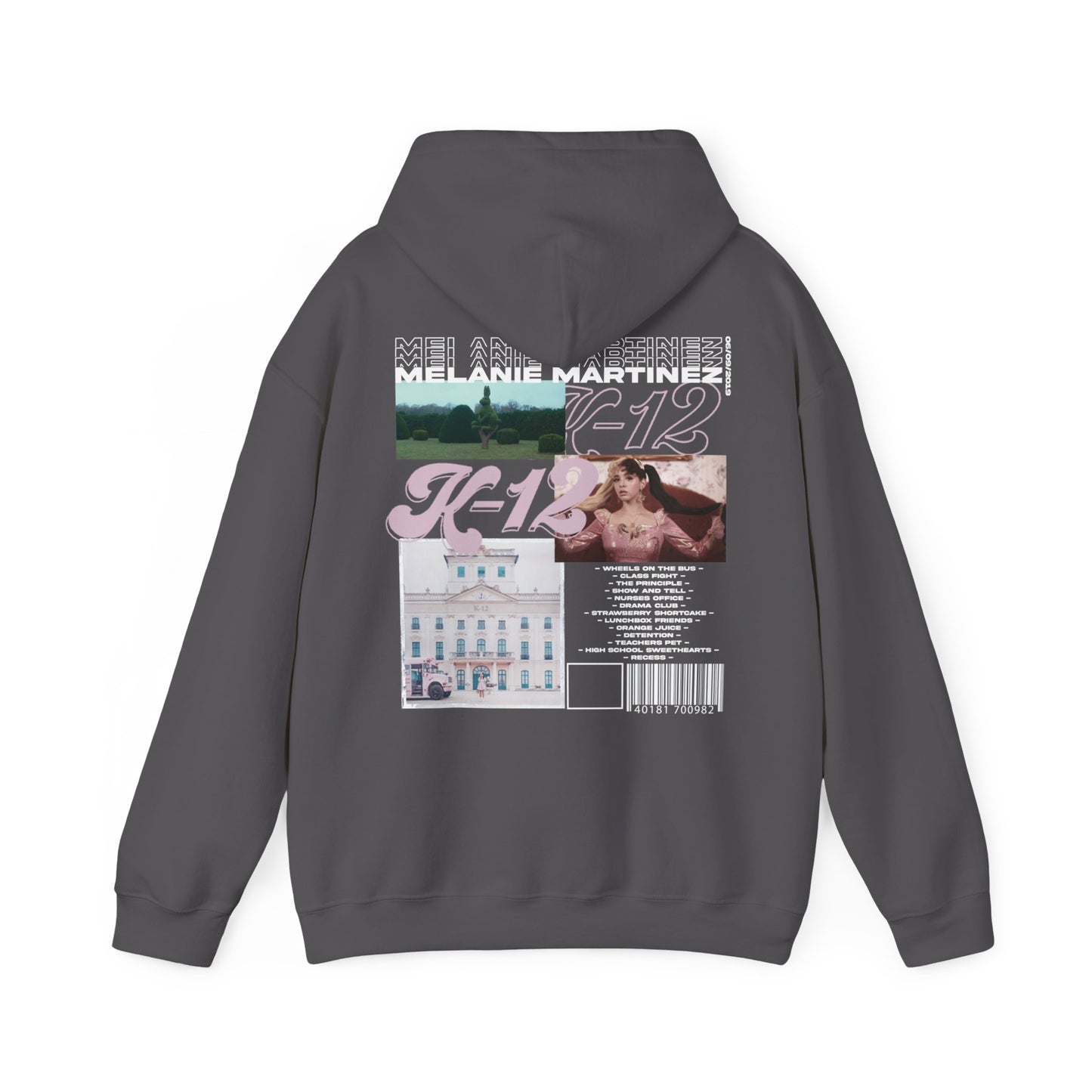 k-12 Infographic Hoodie