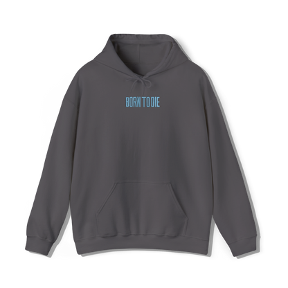 dark grey coloured hooded sweatshirt that has lana del reys album, born to die embroidered on the centre chest 