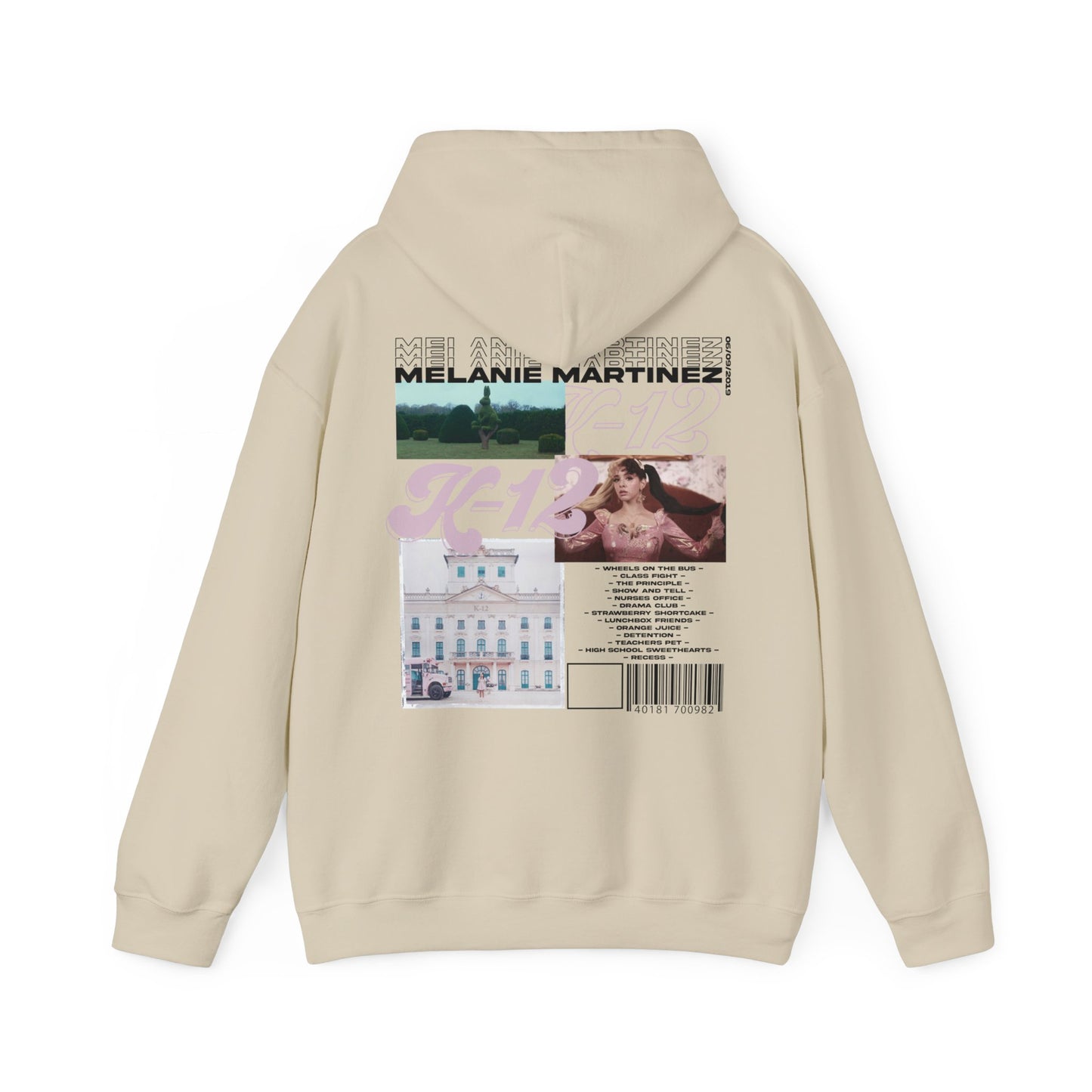 k-12 Infographic Hoodie