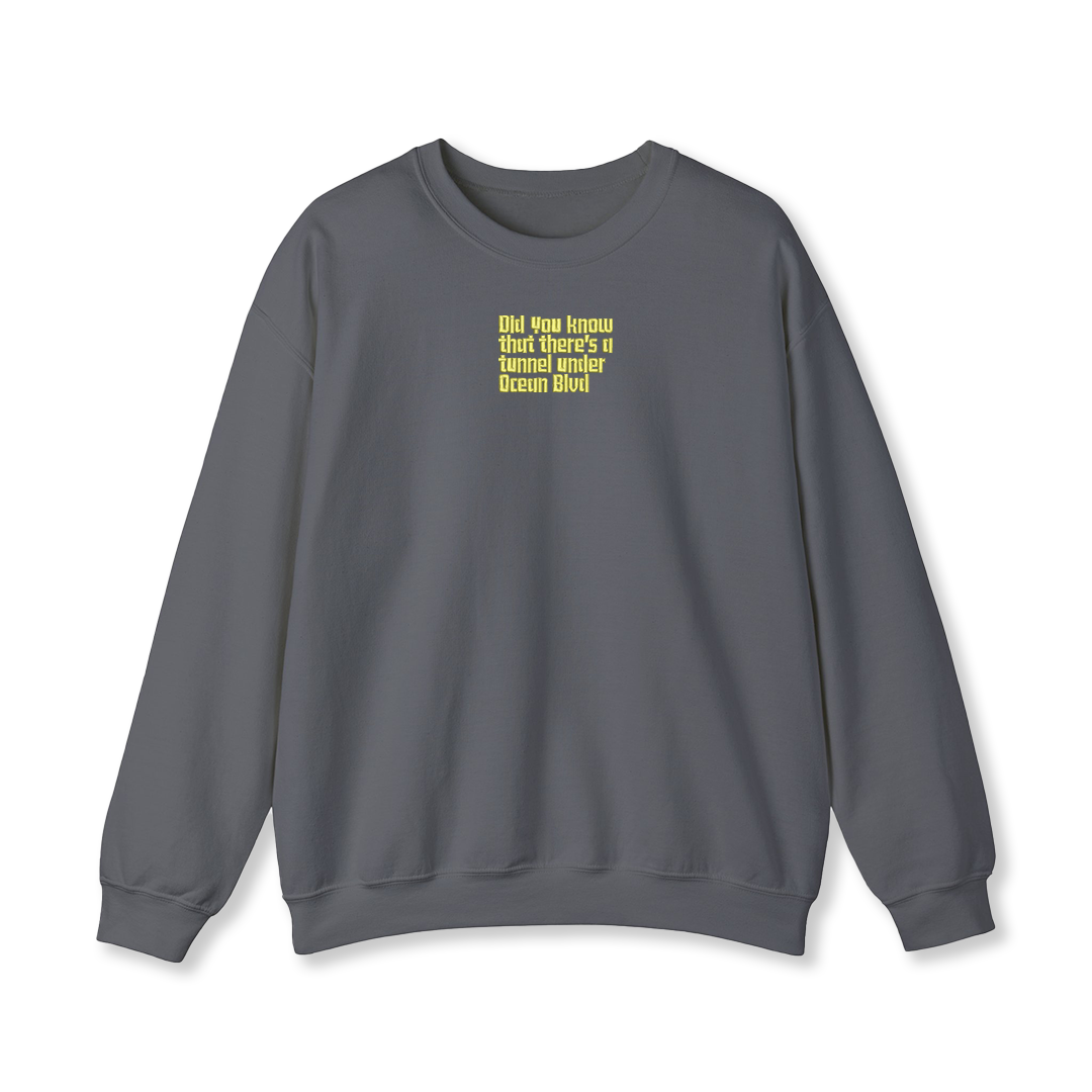 Ocean Blvd Embroidered Album Sweatshirt