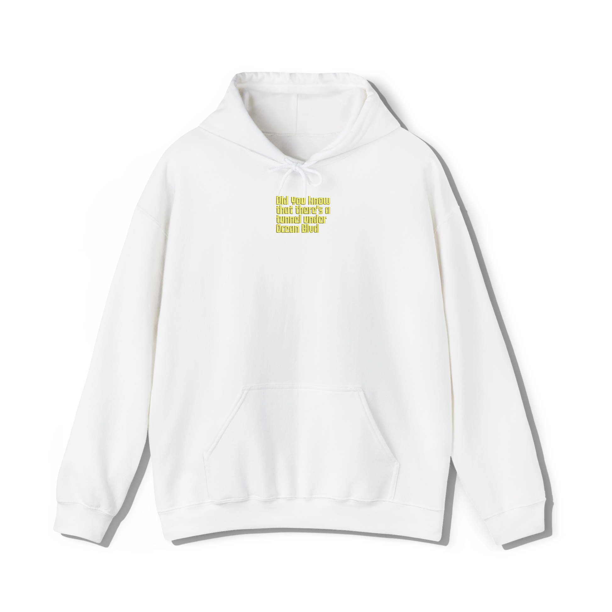 white coloured hooded sweatshirt that has lana del reys album,  did you know that theres a tunnel under ocean blvd embroidered on the centre chest in the same font and colour as it appears on the album  cover