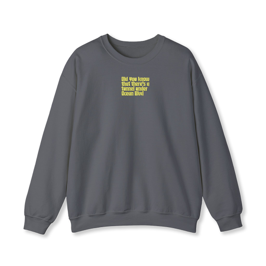 Ocean Blvd Sweatshirt