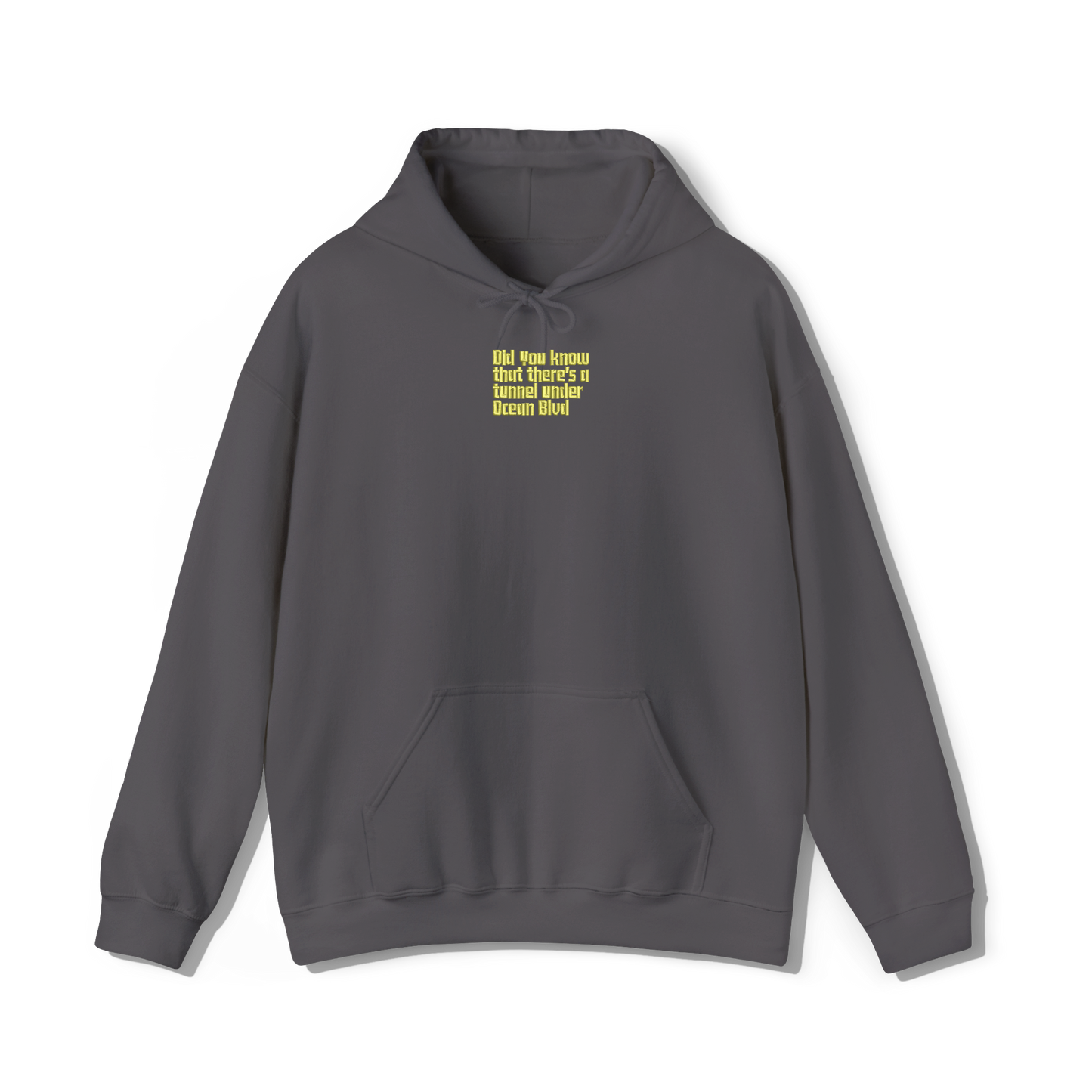 dark grey coloured hooded sweatshirt that has lana del reys album,  did you know that theres a tunnel under ocean blvd embroidered on the centre chest in the same font and colour as it appears on the album  cover