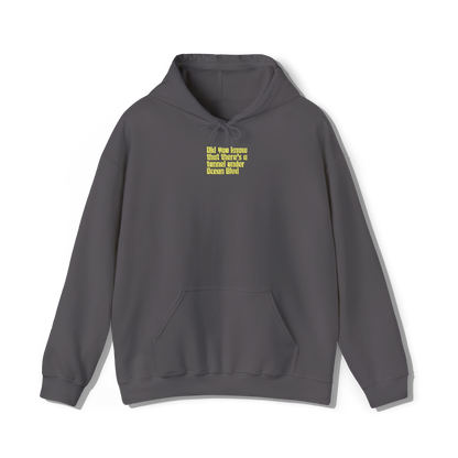 dark grey coloured hooded sweatshirt that has lana del reys album,  did you know that theres a tunnel under ocean blvd embroidered on the centre chest in the same font and colour as it appears on the album  cover