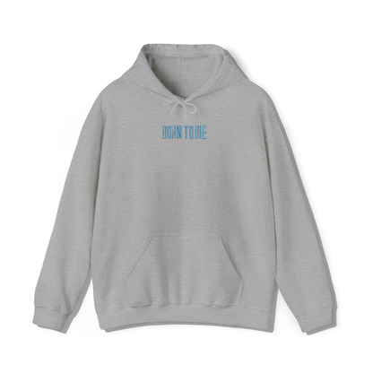 light grey coloured hooded sweatshirt that has lana del reys album, born to die embroidered on the centre chest 